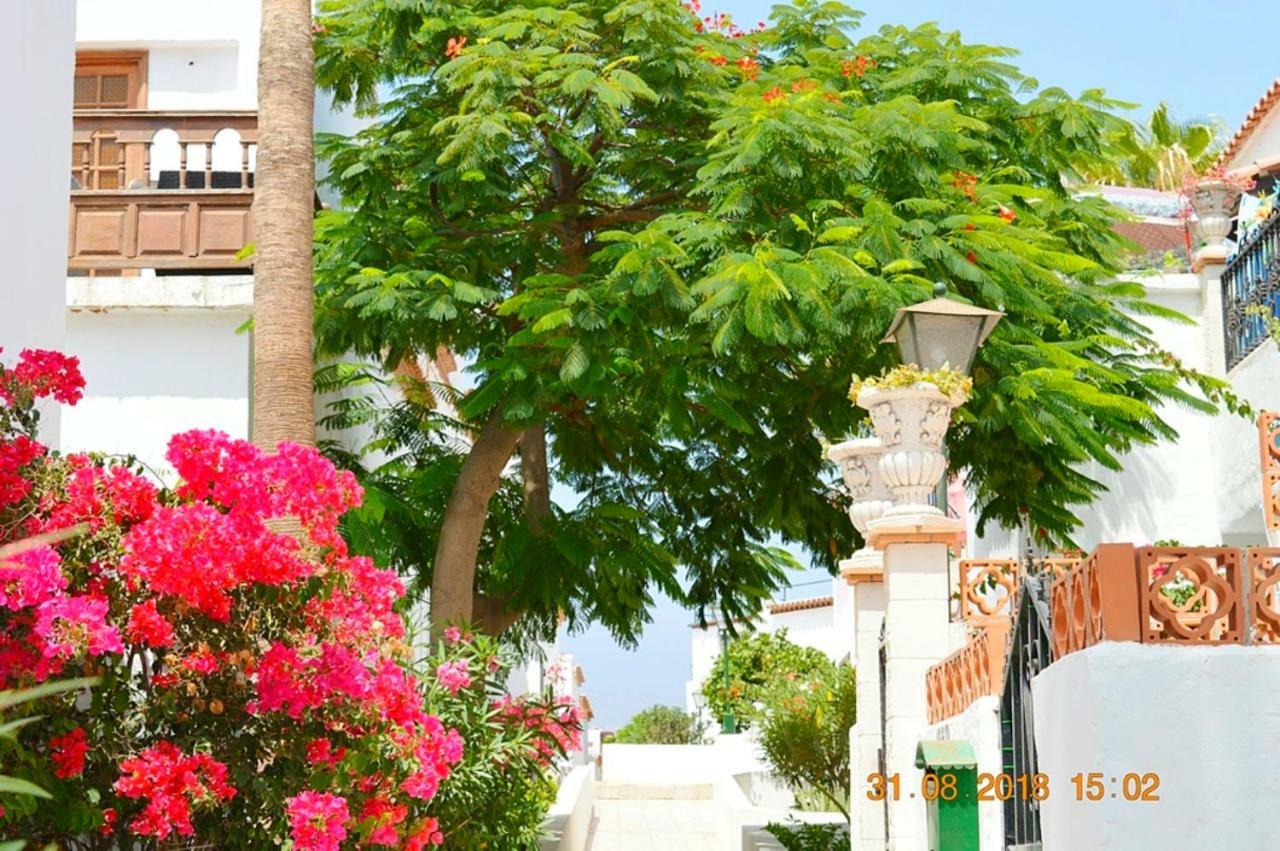 Appartement New Renovated Duplex Near The Ocean Located In Tenerife Sur *