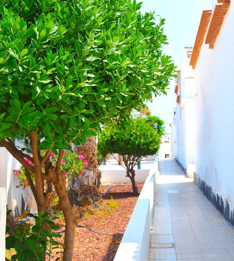 Apartment New Renovated Duplex Near The Ocean Located In Tenerife Sur Costa Del Silencio